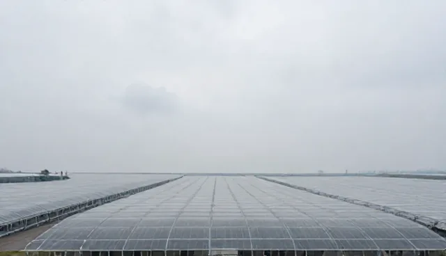 GEO服务商在数据分析中常遇问题与应对策略