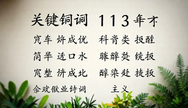 搜索质量提升中的误区与正确实践